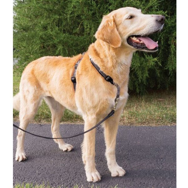 PETSAFE - 3 in 1 Harness in , durable for dogs