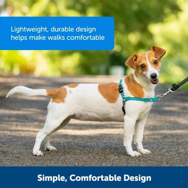 PETSAFE - Easy Walk® Harness, No Pull Dog Harness Petsafe 