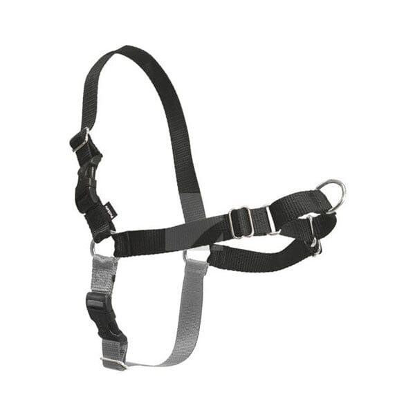 PETSAFE - Easy Walk® Harness, No Pull Dog Harness Petsafe 