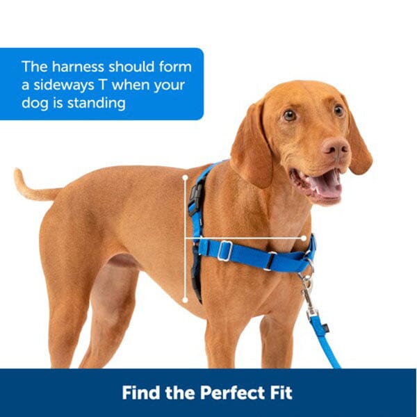 PETSAFE - Easy Walk® Harness, No Pull Dog Harness Petsafe 