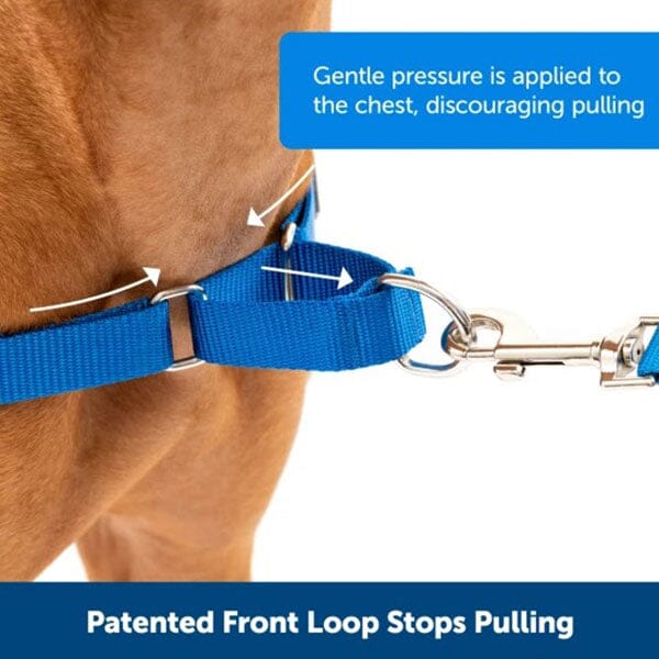 easy walk front hook harness