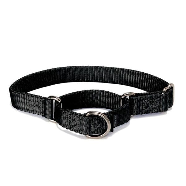 PETSAFE - Martingale Collars in Black, durable Pet Collars & Harnesses for dogs