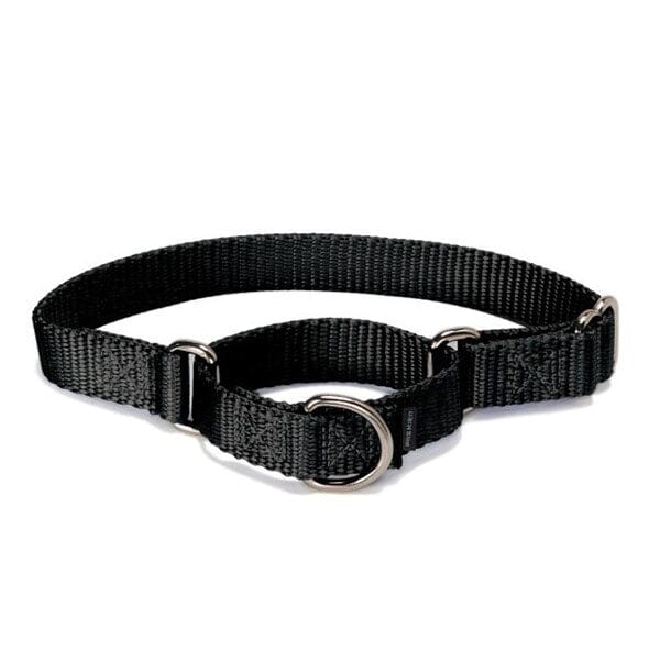 Petsafe - Martingale Collars Pet Collars & Harnesses Petsafe Black Small 