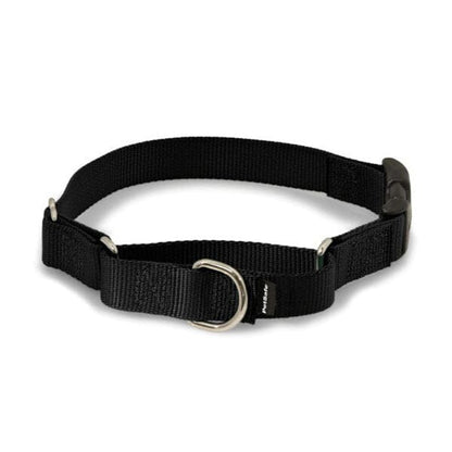 PETSAFE - Martingale Collars with Quick Snap Buckle in Black, durable Pet Collars & Harnesses for dogs