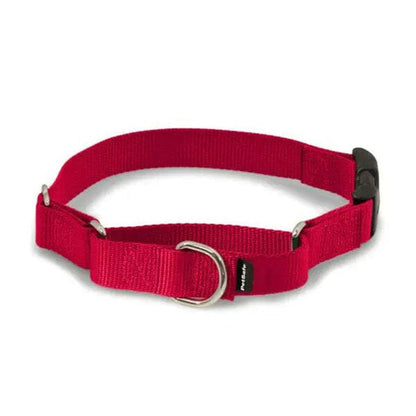 PETSAFE - Martingale Collars with Quick Snap Buckle in Red, durable Pet Collars & Harnesses for dogs