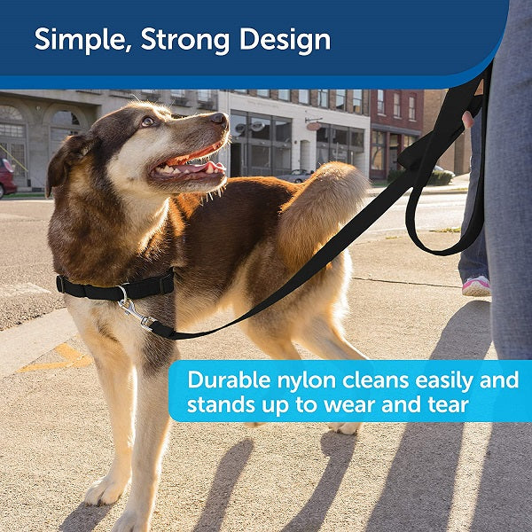 PETSAFE - Nylon Leash in , durable Pet Leashes for dogs
