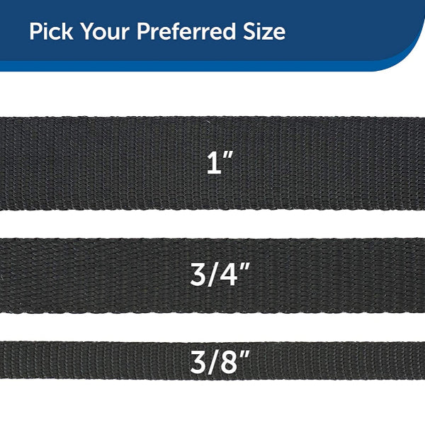 PETSAFE - Nylon Leash in , durable Pet Leashes for dogs