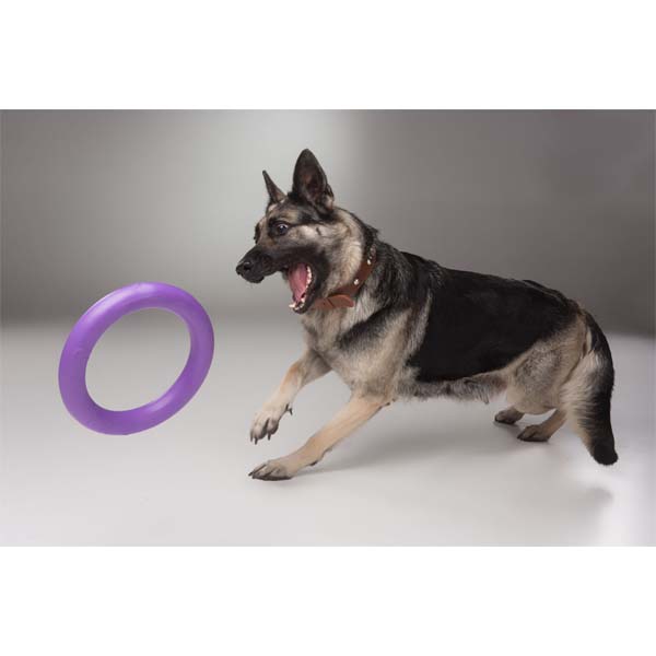 PULLER - Fitness Tool Dog Toy 2-Pack Dog Toys Puller 