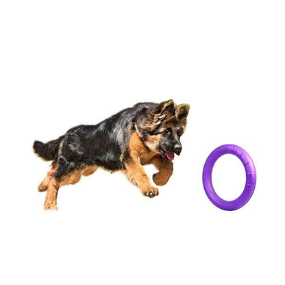 COLLAR - Puller Maxi Fitness Tool Dog Toy in , durable Dog Toys for dogs