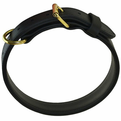 RAY ALLEN - 1 1/4" Double-Layered Biothane Collar in , durable Pet Collars & Harnesses for dogs