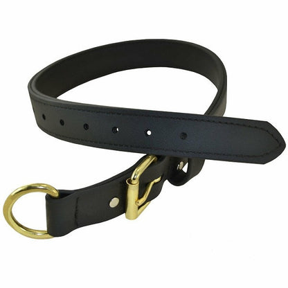 RAY ALLEN - 1 1/4" Double-Layered Biothane Collar in , durable Pet Collars & Harnesses for dogs