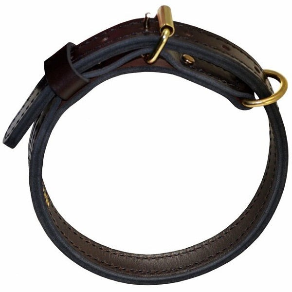 RAY ALLEN - 1" Premier Collar - English Rein Brown Leather in , durable Pet Collars & Harnesses for dogs
