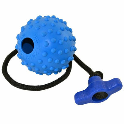 RAY ALLEN - Ball on a Rope in Blue, durable for dogs