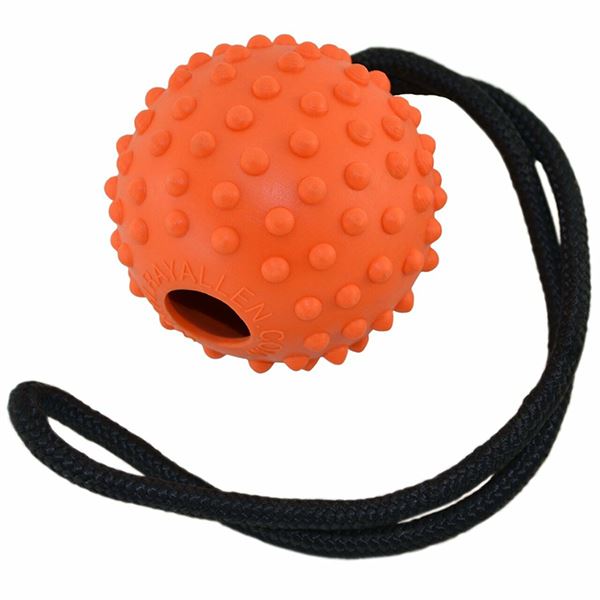 RAY ALLEN - Ball on a Rope in Orange, durable for dogs