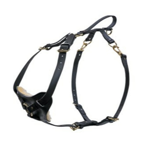 RAY ALLEN - Biothane Multifunction Harness in , durable Pet Collars & Harnesses for dogs