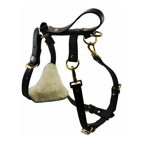 RAY ALLEN - Biothane Multifunction Harness in Medium 26-36in, durable Pet Collars & Harnesses for dogs