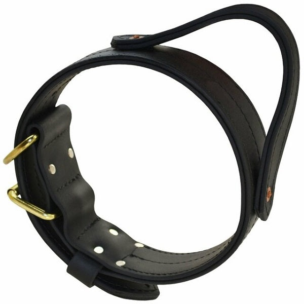 RAY ALLEN - Double Layered 2" Biothane Collar With Handle in 20-in, durable Pet Collars & Harnesses for dogs