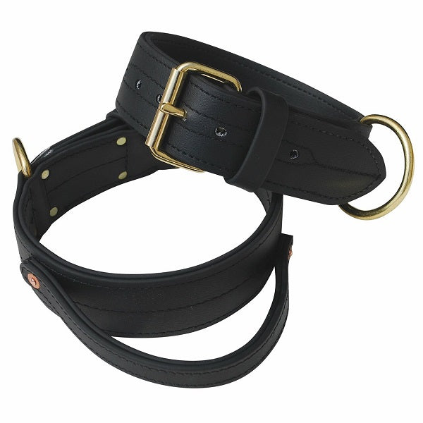 RAY ALLEN - Double Layered 2" Biothane Collar With Handle in , durable Pet Collars & Harnesses for dogs