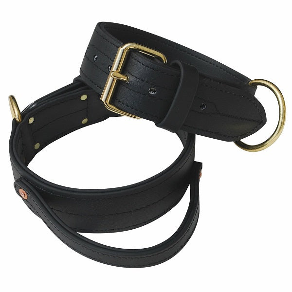 RAY ALLEN - Double Layered 2" Biothane Collar With Handle Pet Collars & Harnesses Ray Allen 