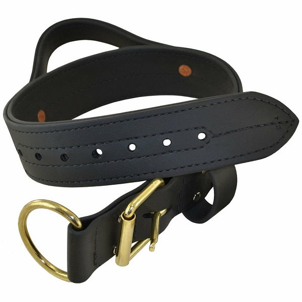 RAY ALLEN - Double Layered 2" Biothane Collar With Handle in , durable Pet Collars & Harnesses for dogs