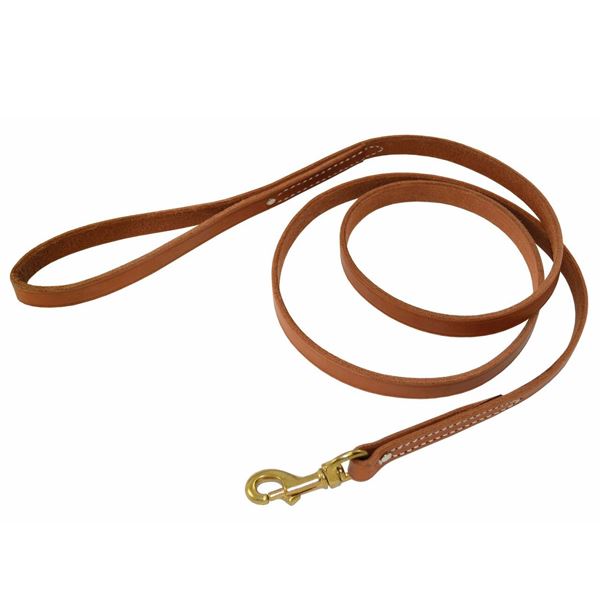 RAY ALLEN - 3/4" Harness Leather Leash in 3', durable Pet Leashes for dogs