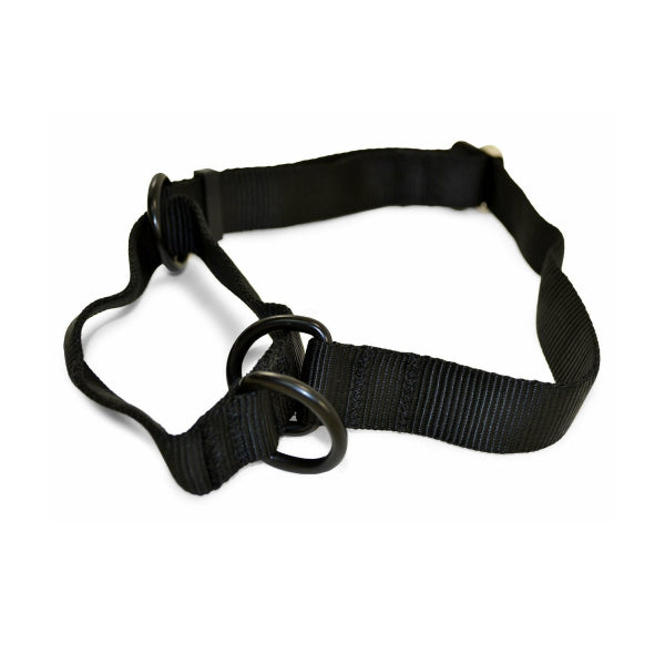 RAY ALLEN - Martingale Nylon Collar in Black, durable Pet Collars & Harnesses for dogs