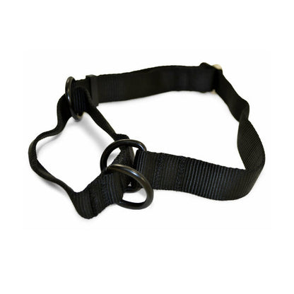 RAY ALLEN - Martingale Nylon Collar in Black, durable Pet Collars & Harnesses for dogs