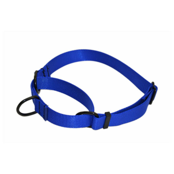 RAY ALLEN - Martingale Nylon Collar in Blue, durable Pet Collars & Harnesses for dogs