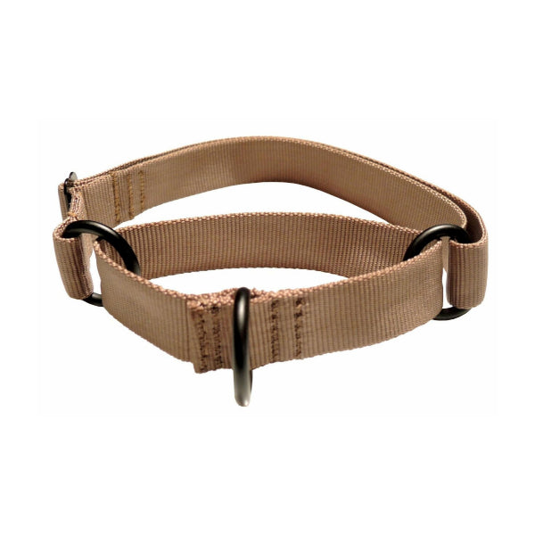 RAY ALLEN - Martingale Nylon Collar in Coyote, durable Pet Collars & Harnesses for dogs