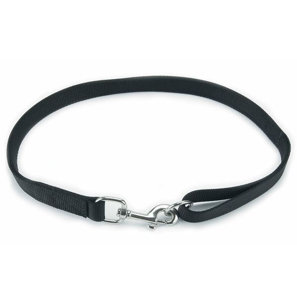 RAY ALLEN - Tubular Nylon Waist Lead W/O-RING in , durable Pet Leashes for dogs