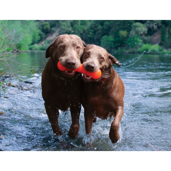 RUFF DAWG - Dawg Buster Indestructible Rubber Floating Retrieving Toy - Guaranteed For Life Ruff Dawg 