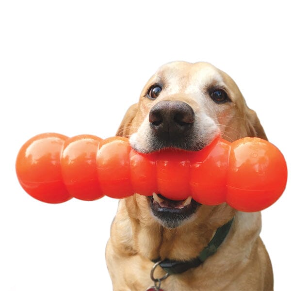 RUFF DAWG - Dawg Buster Indestructible Rubber Floating Retrieving Toy - Guaranteed For Life in , durable for dogs
