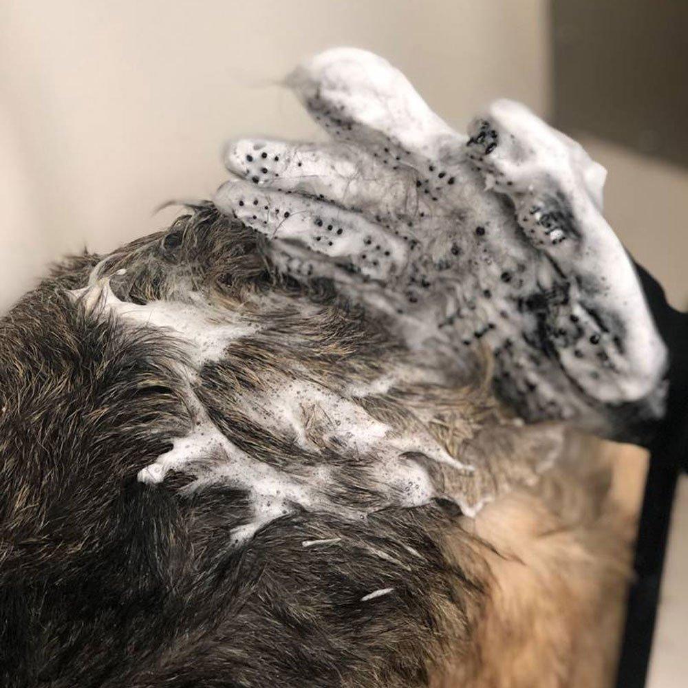 TOP PERFORMANCE - Shed Patrol Deshedding and Grooming Gloves in , durable Pet Grooming Supplies for dogs