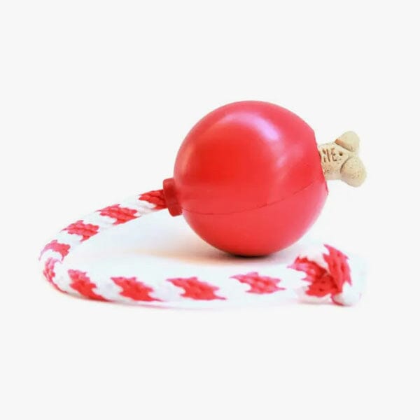 SODAPUP - USA-K9 Cherry Bomb Chew Toy/Reward Toy (Hollow) in , durable for dogs