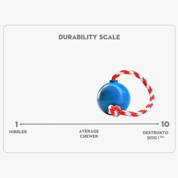 SODAPUP - USA-K9 Cherry Bomb Chew Toy/Reward Toy (Hollow) in , durable for dogs