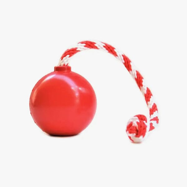 SODAPUP - USA-K9 Cherry Bomb Chew Toy/Reward Toy (Hollow) SodaPup Medium 2.5" Red 