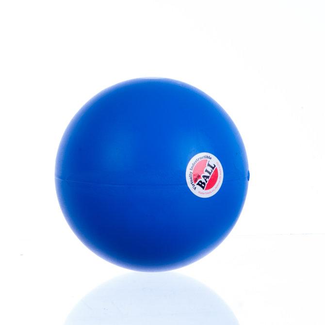 HT PET - THE Virtually Indestructible Ball (Hard Plastic) in 6" Best Ball, durable Dog Toys for dogs