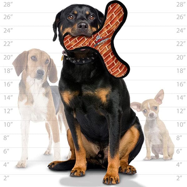 TUFFY - Mega Boomerang, Durable, Tough, Squeaky Dog Toy in , durable Dog Toys for dogs