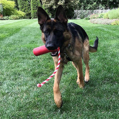 SODAPUP - USA-K9 Firecracker Durable Rubber Floating Toy 5.5" in , durable Dog Toys for dogs