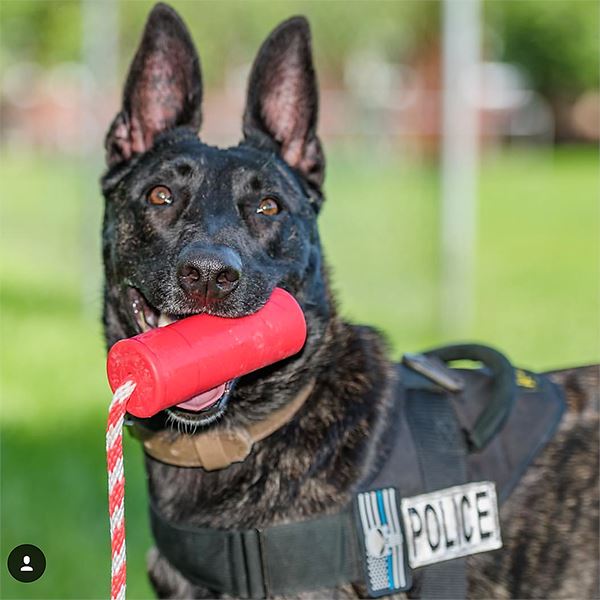 SODAPUP - USA-K9 Firecracker Durable Rubber Floating Toy 5.5" in , durable Dog Toys for dogs