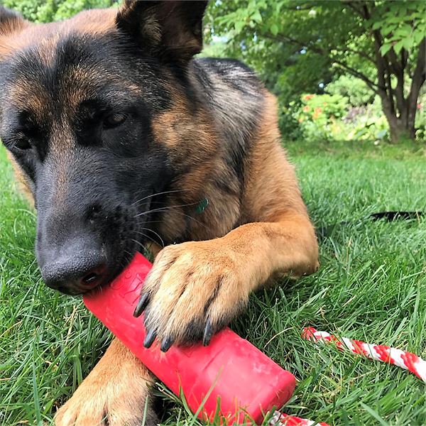 SODAPUP - USA-K9 Firecracker Durable Rubber Floating Toy 5.5" in , durable Dog Toys for dogs