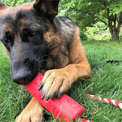 SODAPUP - USA-K9 Firecracker Durable Rubber Floating Toy 5.5" in , durable Dog Toys for dogs