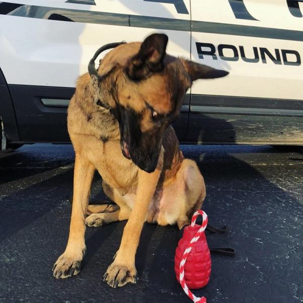 SODAPUP - USA-K9 Grenade Durable Rubber Chew Toy & Treat Dispenser in , durable Dog Toys for dogs