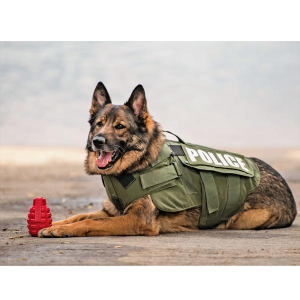 USA-K9 Grenade Durable Rubber Chew Toy & Treat Dispenser Toys German Shepherd Shop 