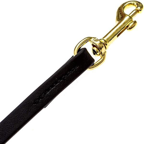 VIPER - Biothane Long Line Dog Leash in , durable Pet Leashes for dogs